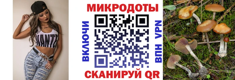 Псилоцибиновые грибы ЛСД  Качканар 